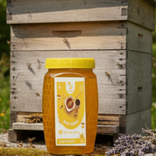 Gemini_Generated_Image_ul8n5zul8n5zul8n2